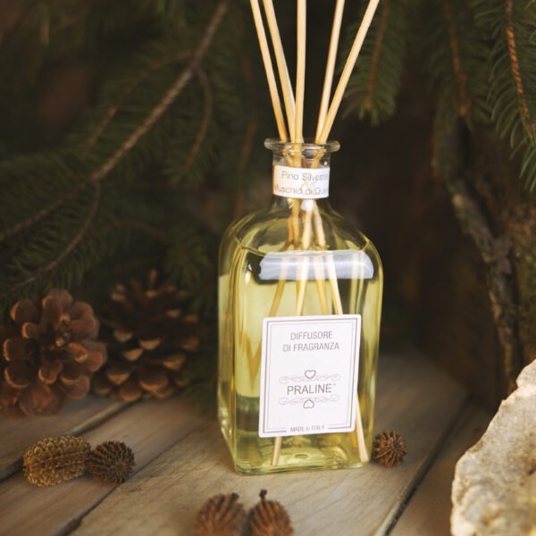 Diffusore di Fragranze Pino Silvestre & Muschio di Quercia - PRALINE
