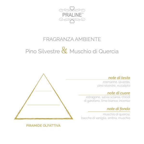 Diffusore di Fragranze Pino Silvestre & Muschio di Quercia - PRALINE - immagine 2