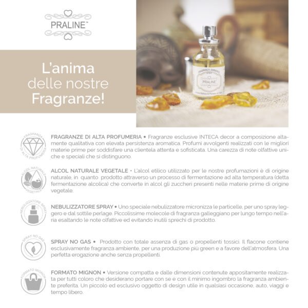 Fragranza Ambiente Spray Ambra Baltica & Polvere di Talco - PRALINE - immagine 3