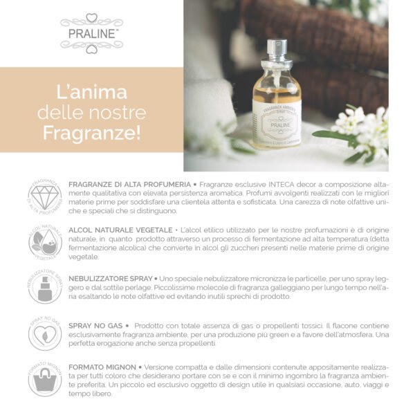 Fragranza Ambiente Spray Gelsomino & Legno di Cashmere - PRALINE - immagine 3