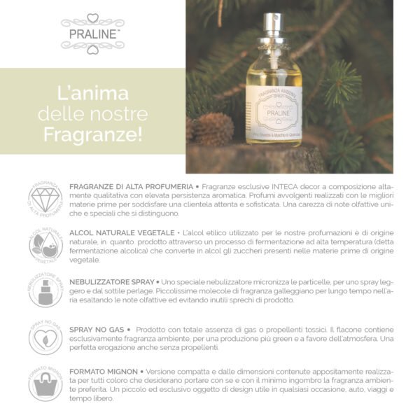 Fragranza Ambiente Spray Pino Silvestre & Muschio di Quercia - PRALINE - immagine 3